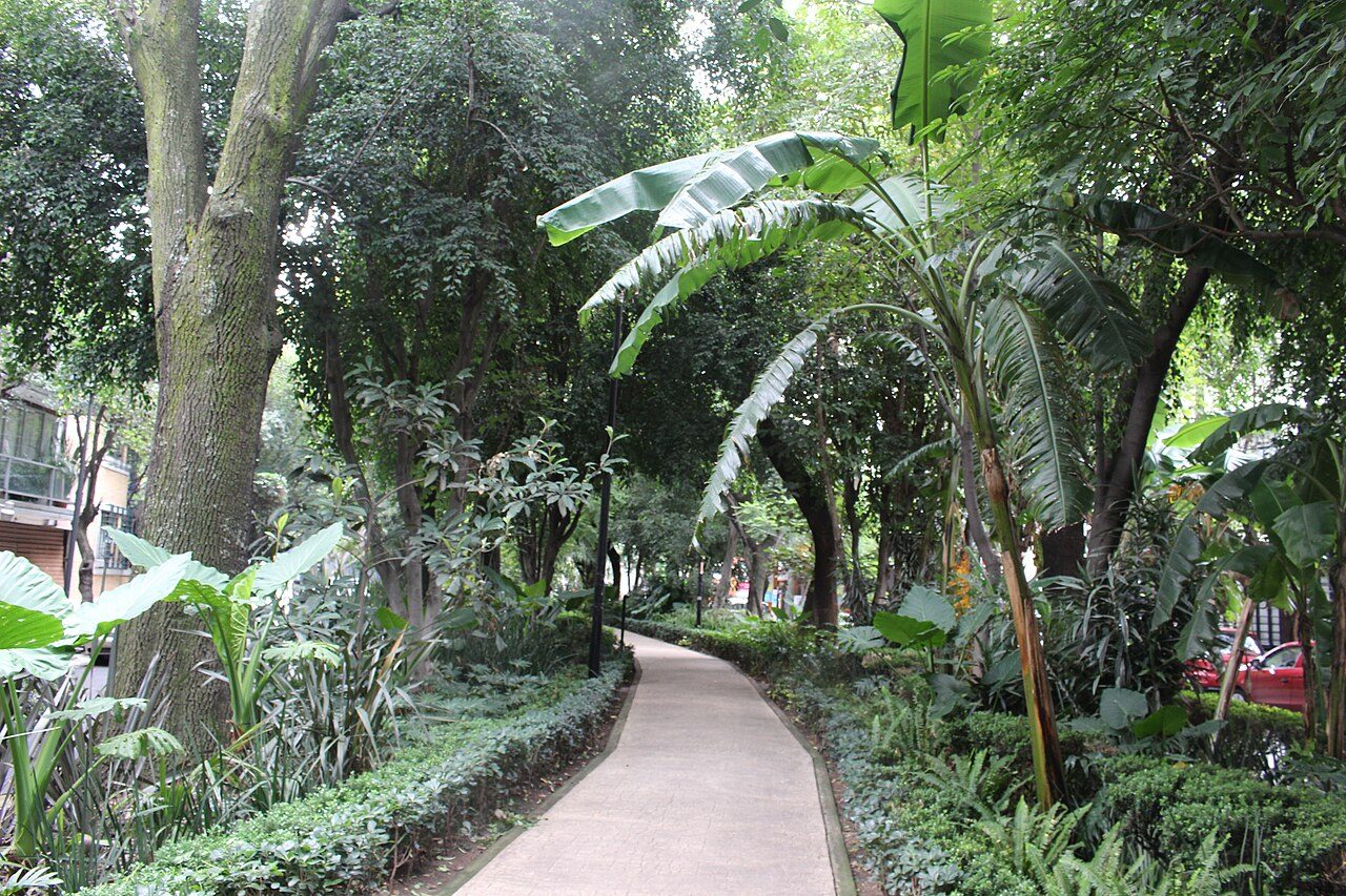 The planted walkway along Avenida Ámsterdam in Condesa