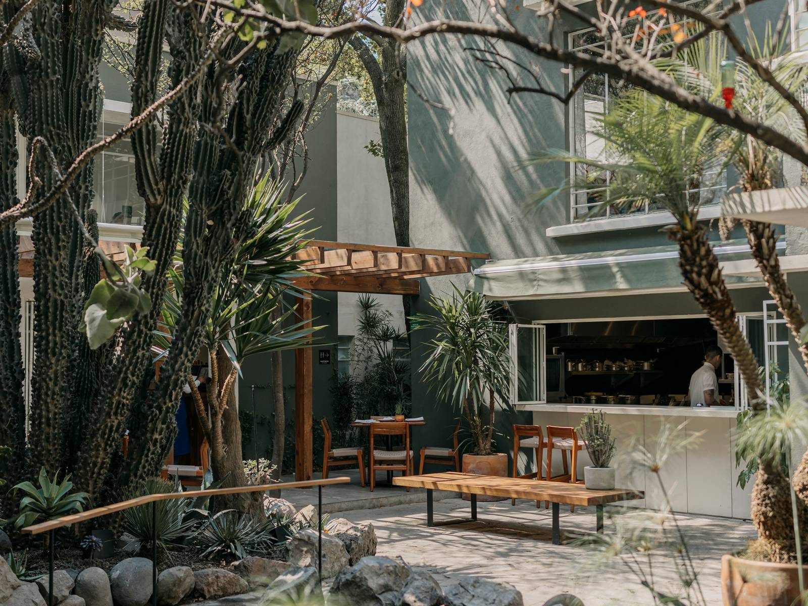 The garden patio with cacti and outdoor tables at Botánico